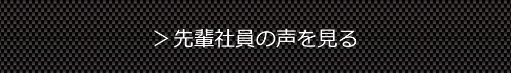 先輩社員の声を見る